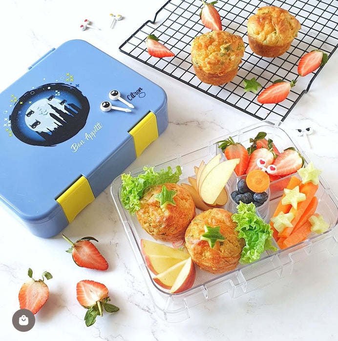 Lunch Bag and Snack Box- 4 Compartments-Last 3 Styles